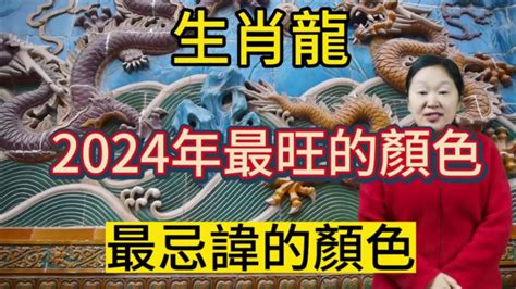 屬狗錢包顏色|2024龍年十二生肖的「財庫色」解析，用年終獎金投。